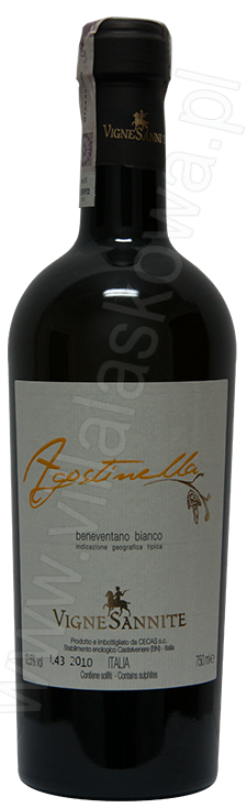 Agostinella