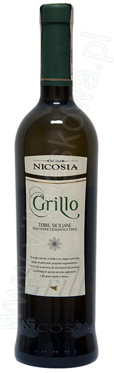 Grillo