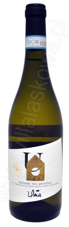 Pecorino Abruzzo Pecorino Abruzzo - Wino włoskie białe wytrawne